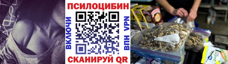 ОМГ ОМГ ссылка  Княгинино  Псилоцибиновые грибы GOLDEN TEACHER 