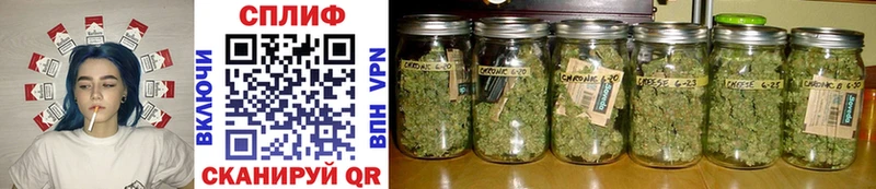 как найти наркотики  Княгинино  МАРИХУАНА THC 21% 